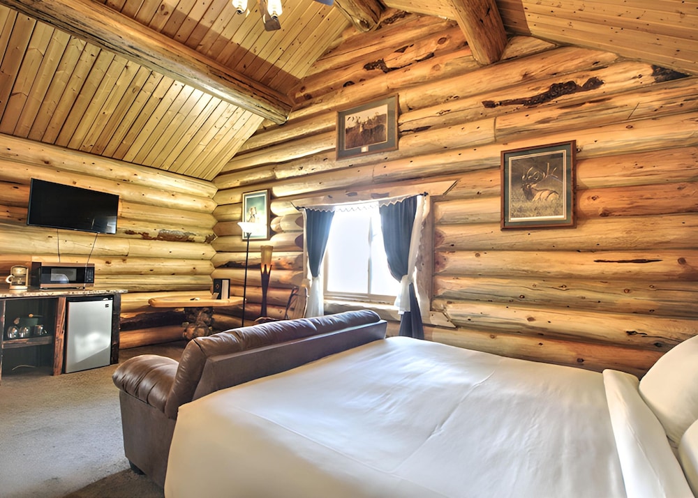The Hibernation Station - photo 19