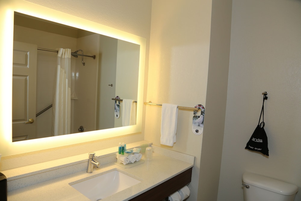 Holiday Inn Express Hotel & Suites Greenville by IHG - photo 24