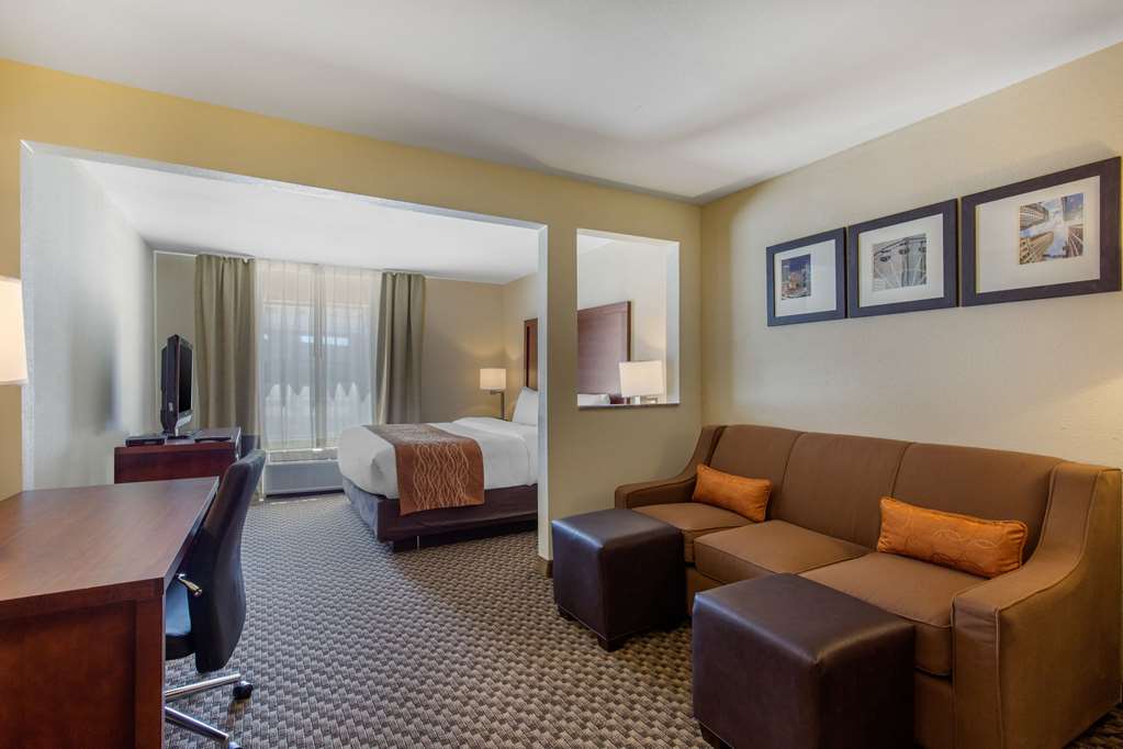 Comfort Inn & Suites SW Houston Sugarland - photo 22