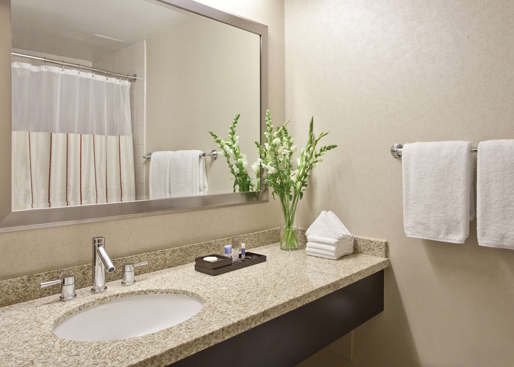 Hyatt Regency O'Hare Chicago - photo 44
