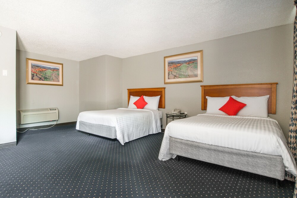 OYO Inn Dallas South - photo 19
