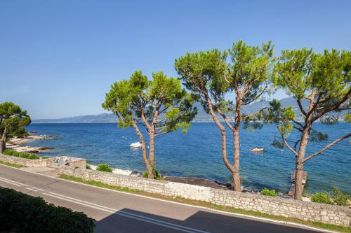 Apartment Azzurro — Torri Del Benaco — photo 4