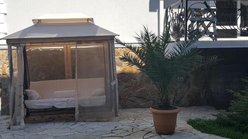 David's Guest House