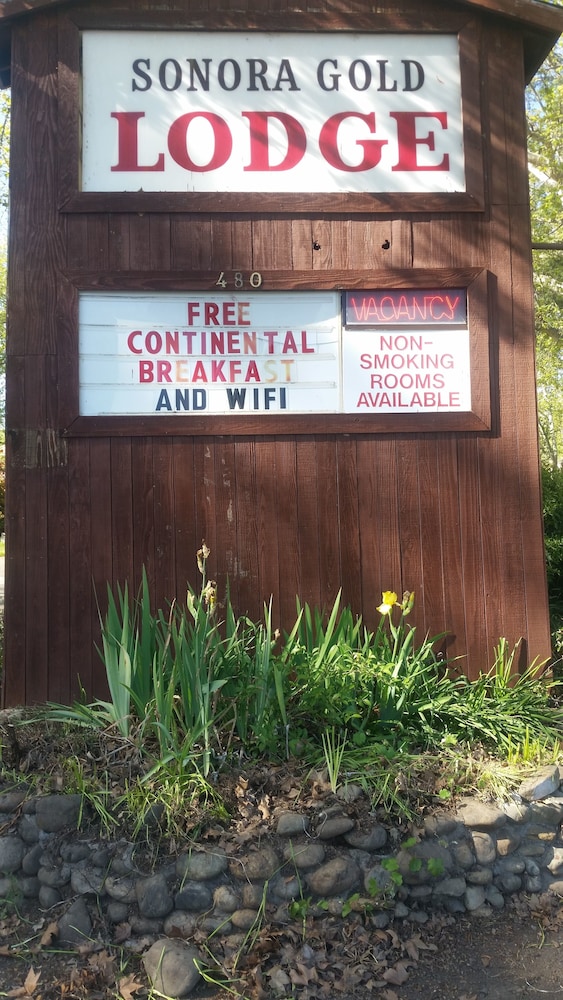 Sonora Gold Lodge - photo 17
