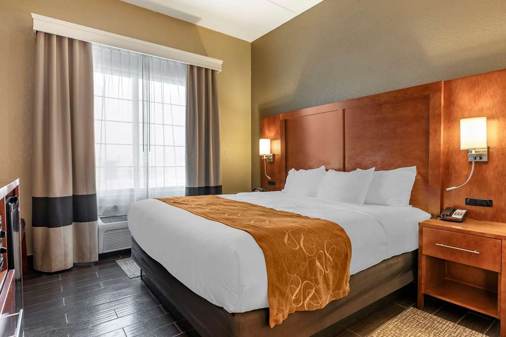 Comfort Suites Grand Rapids South - photo 21