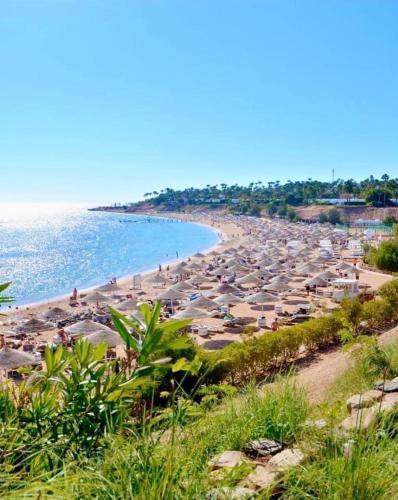 Domina Coral Bay Resort &casino in Unknown City, Egypt