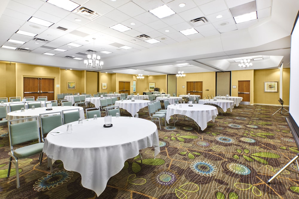 Holiday Inn & Suites Bolingbrook by IHG - photo 53