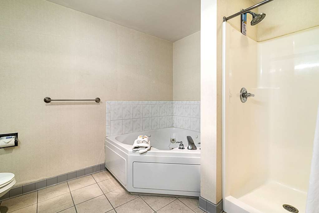 Quality Inn & Suites Schoharie near Howe Caverns - photo 18