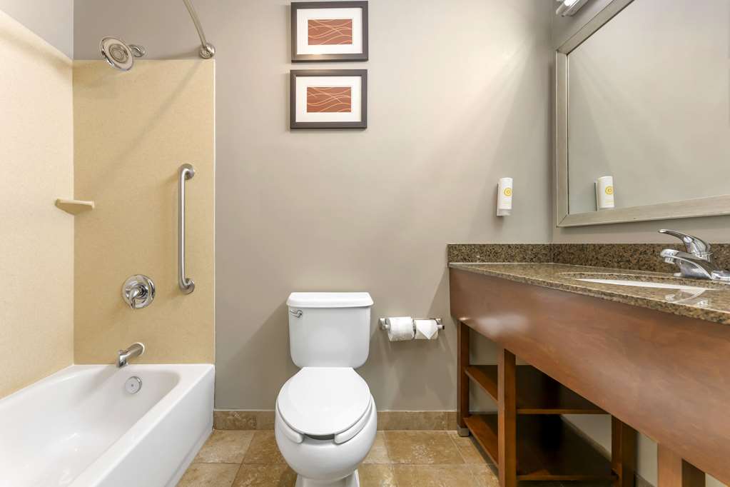 Comfort Inn & Suites Porter near Indiana Dunes - photo 15