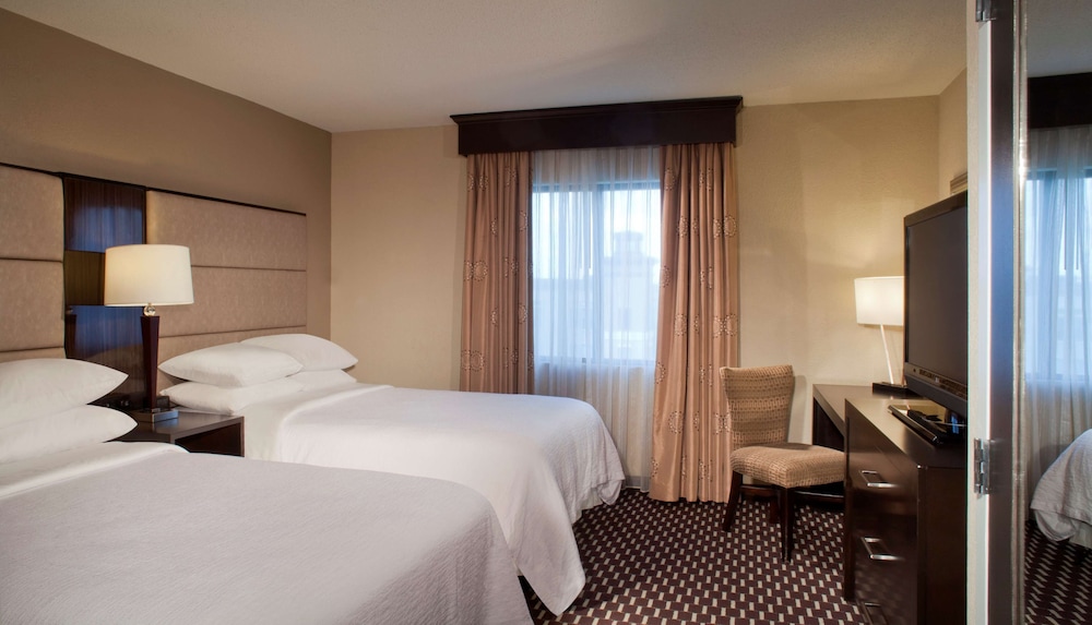 Embassy Suites by Hilton Houston Near the Galleria - photo 8