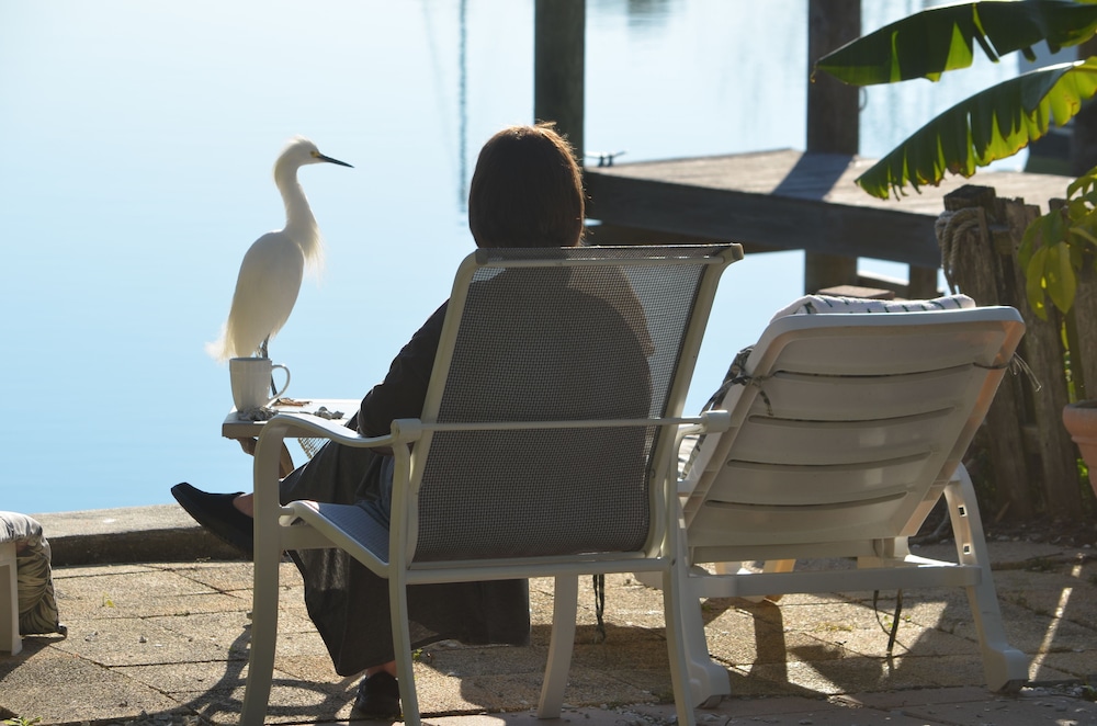 Oasis at John's Pass Madeira Beach - photo 50