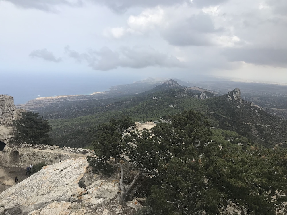 Concept Studios In Caesar Resort Cyprus — Trikomo