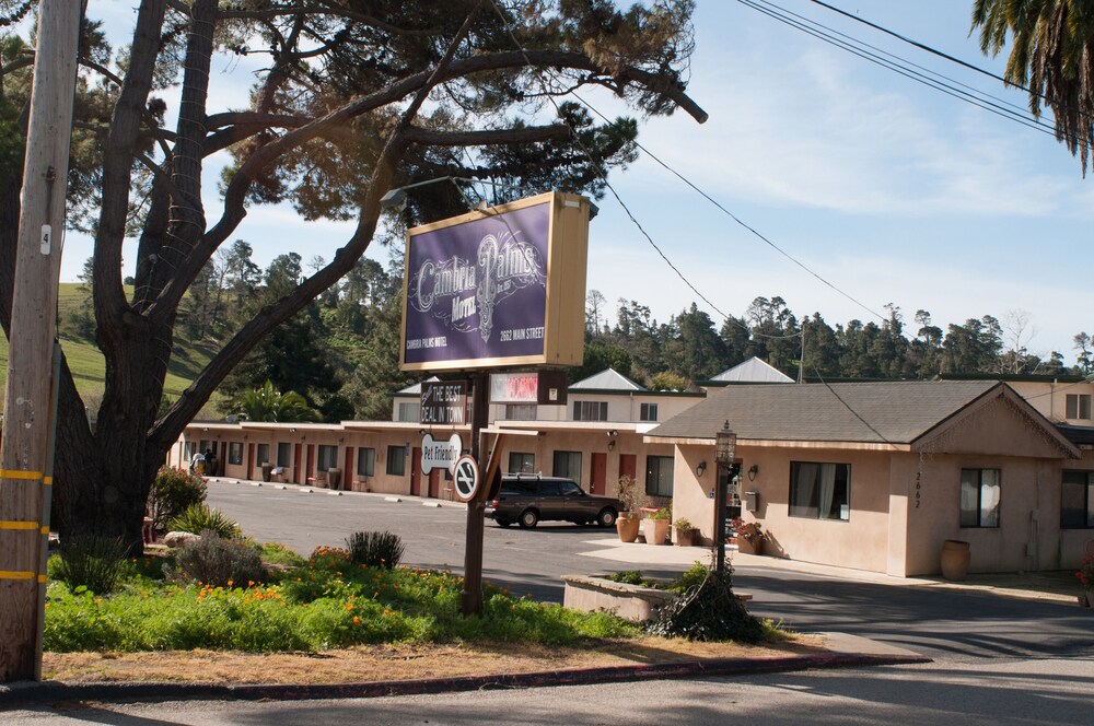 Cambria Palms Motel - photo 14