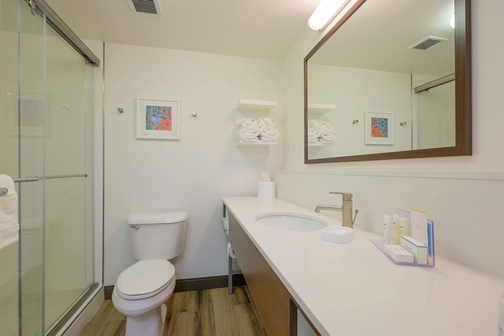 Hampton Inn Edenton - photo 54