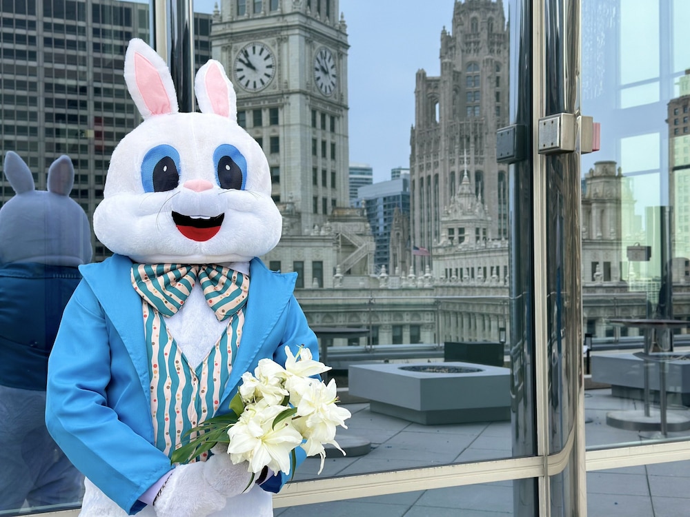 Trump International Hotel & Tower Chicago - photo 169