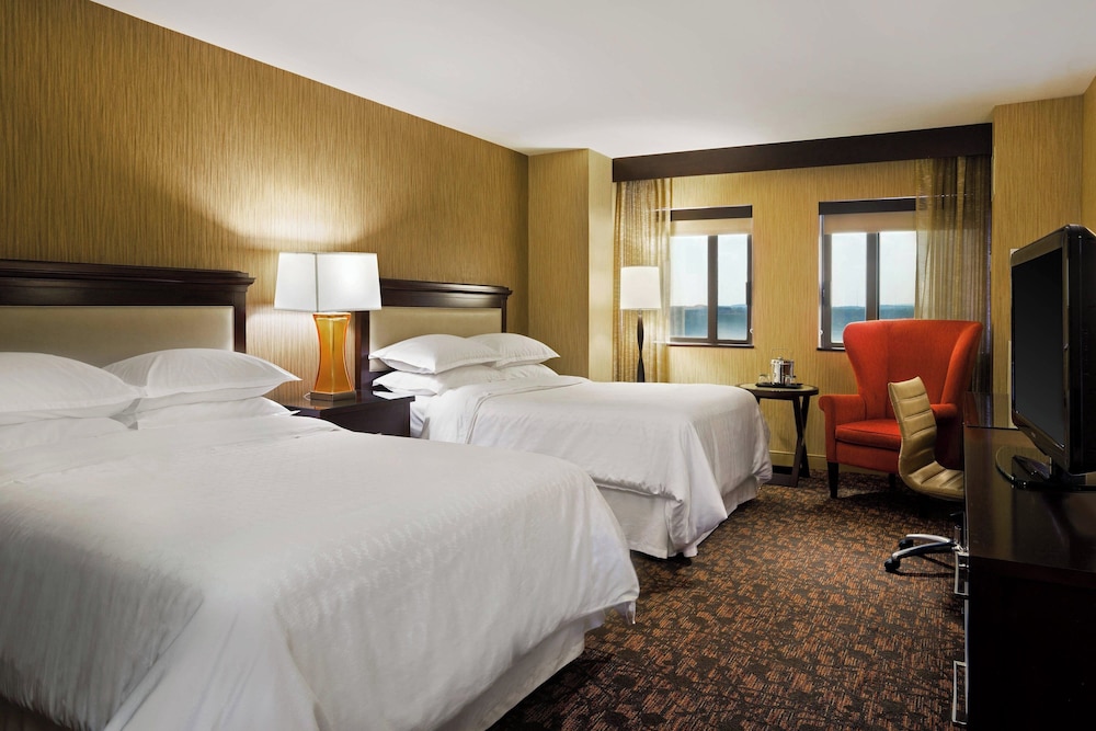 Sheraton Springfield Monarch Place Hotel - photo 13