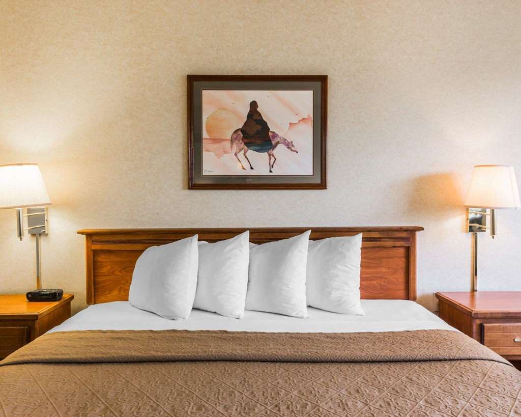 Quality Inn & Suites Montrose Black Canyon Area - photo 8
