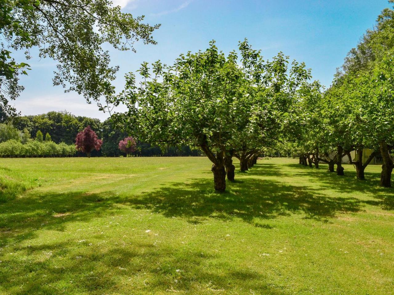 Deer Cottage 2 Uk39332 — 4-Star Luxury Hotel in Biddenden, United Kingdom
