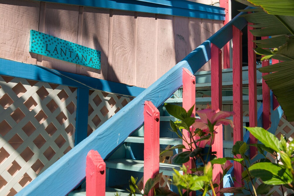 Captiva Island Inn - photo 31