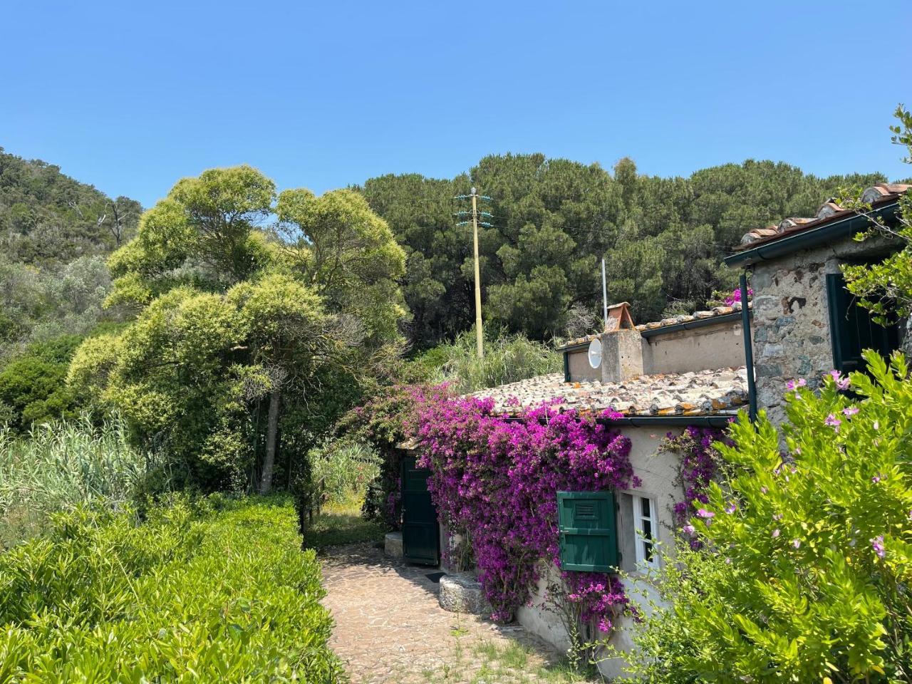 The Old Mill with Private Garden And Torrent in Portoferraio, Italy