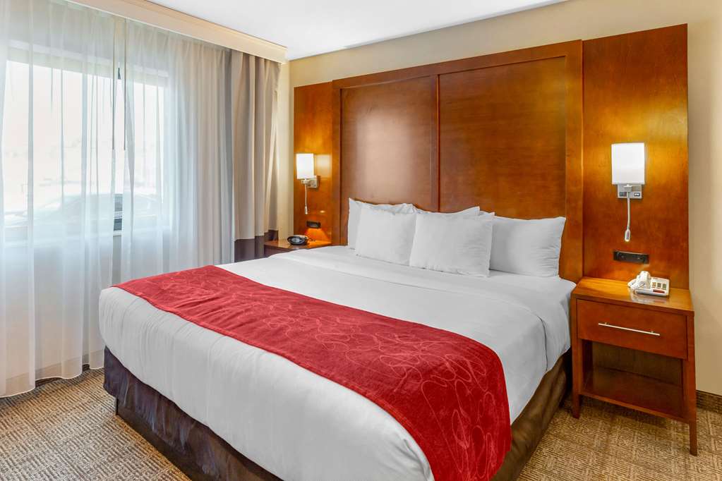 Comfort Suites Oakbrook Terrace near Oakbrook Center - photo 20