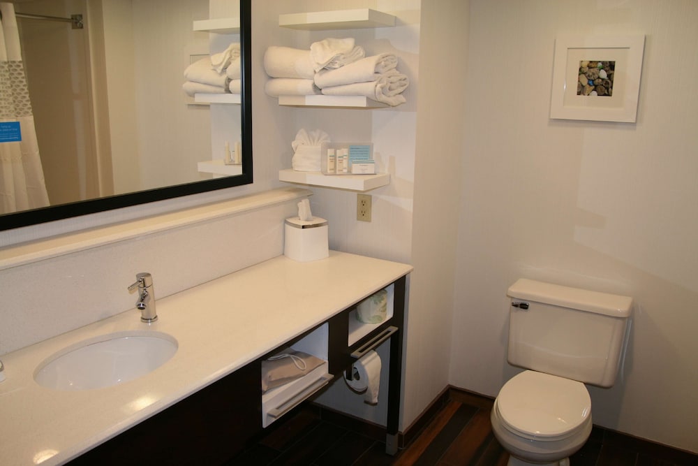Hampton Inn Birch Run Frankenmuth - photo 13