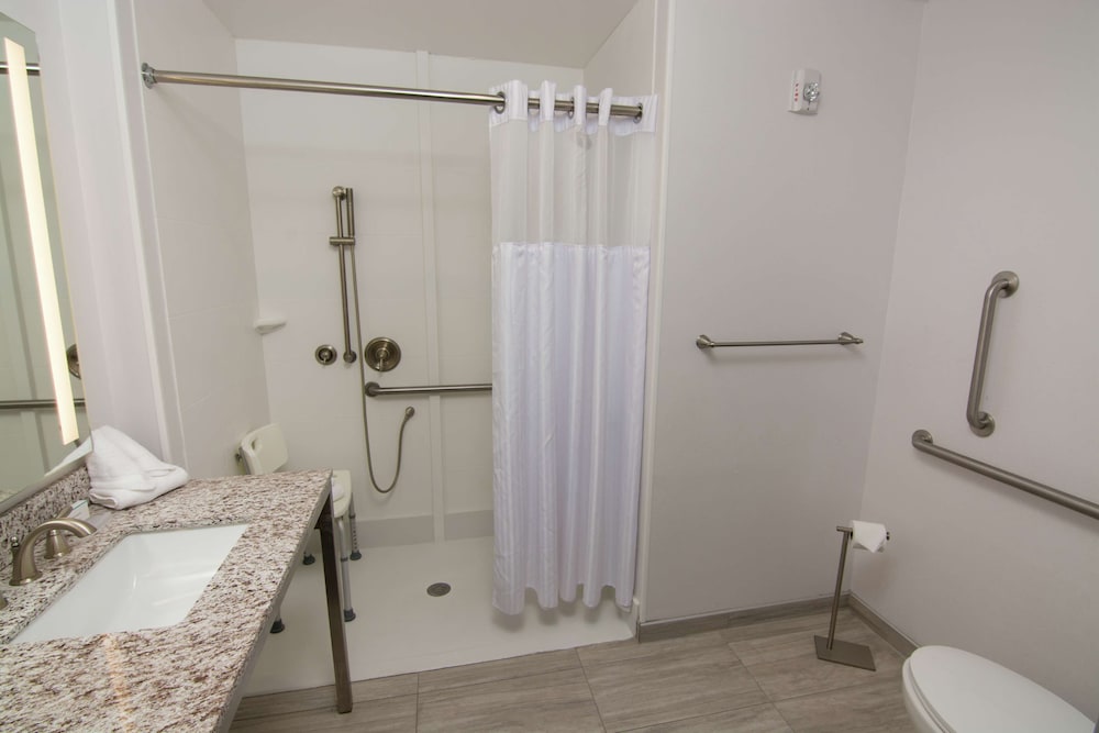 Hilton Garden Inn Tampa Suncoast Parkway - photo 48