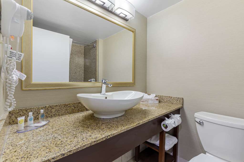 Comfort Inn Herndon Reston - photo 25