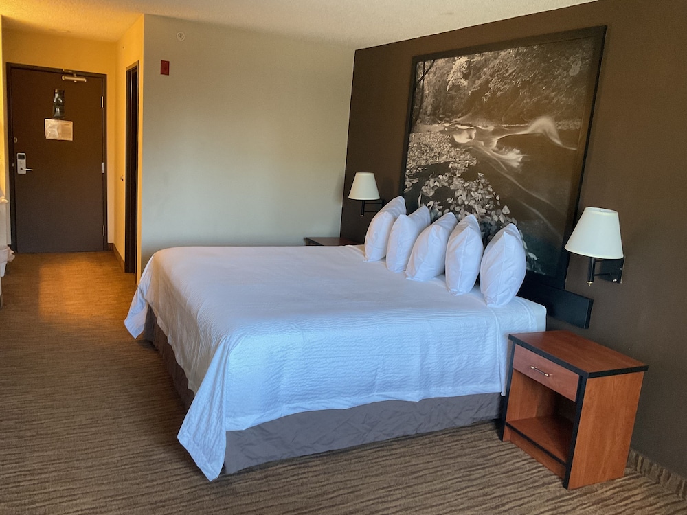 Super 8 by Wyndham Colorado Springs Airport - photo 8
