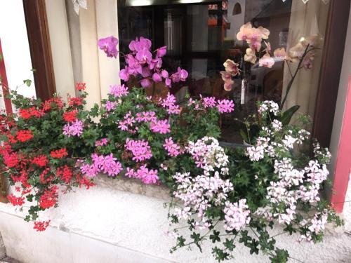 Hotel Alle Alpi in Alleghe, Italy