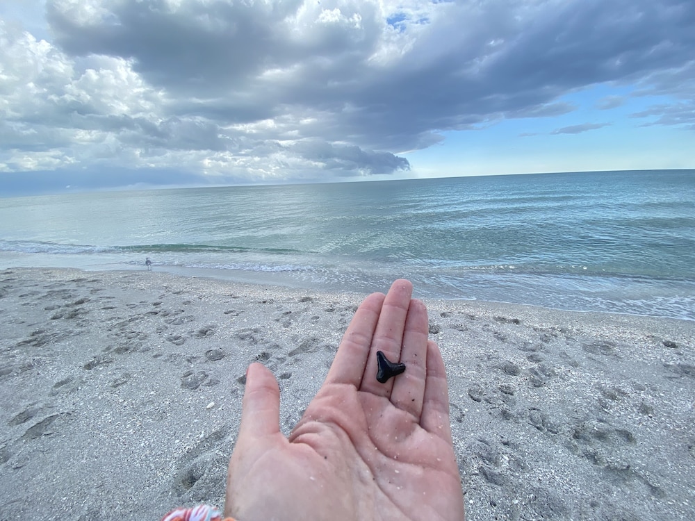 Manasota Key Resort - photo 80