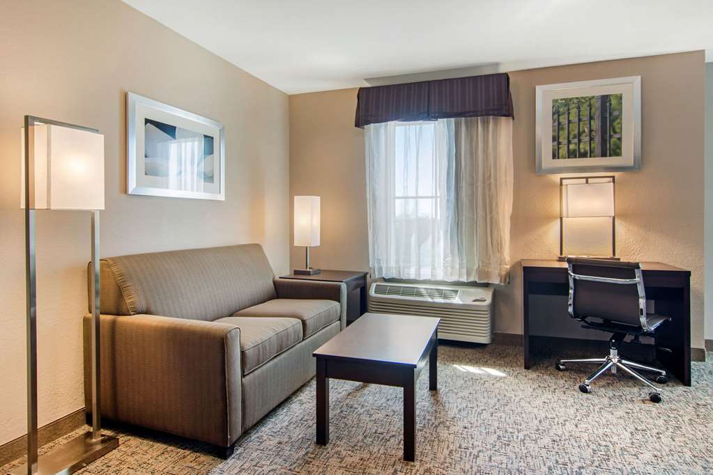 Clarion Inn & Suites Atlanta Downtown - photo 22
