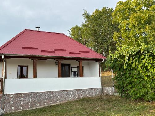 La Căsuță Rudeni pet-friendly hotel Rudeni