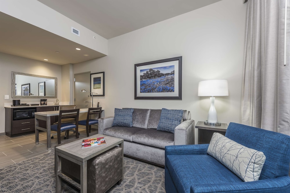 Embassy Suites by Hilton The Woodlands at Hughes Landing - photo 20