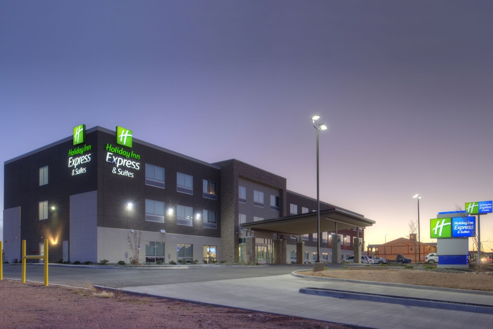 Holiday Inn Express & Suites Van Horn by IHG - photo 61