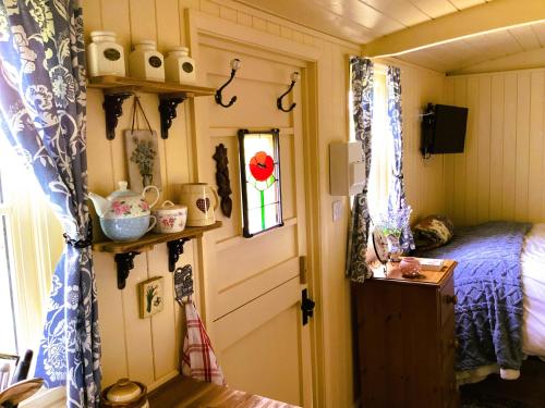 Lilly’s Pad — Bude — photo 5