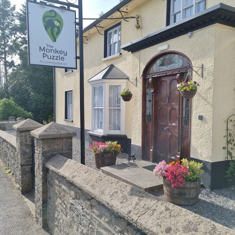 The Monkey Puzzle - carbon neutral hotel in Bunclody