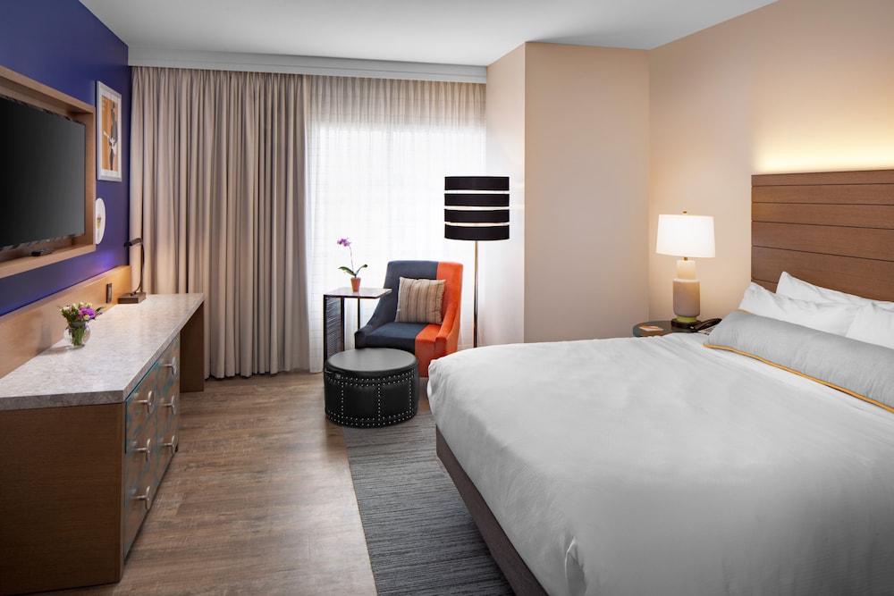 Hotel Indigo Gainesville Celebration Pointe by IHG - photo 6