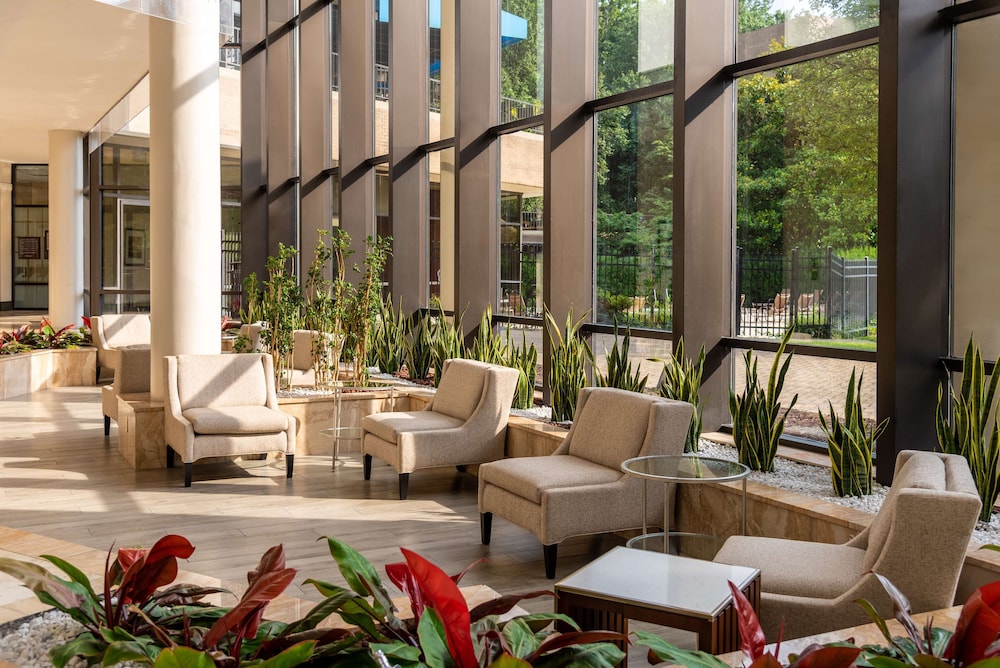 Hilton Alexandria Mark Center - photo 6