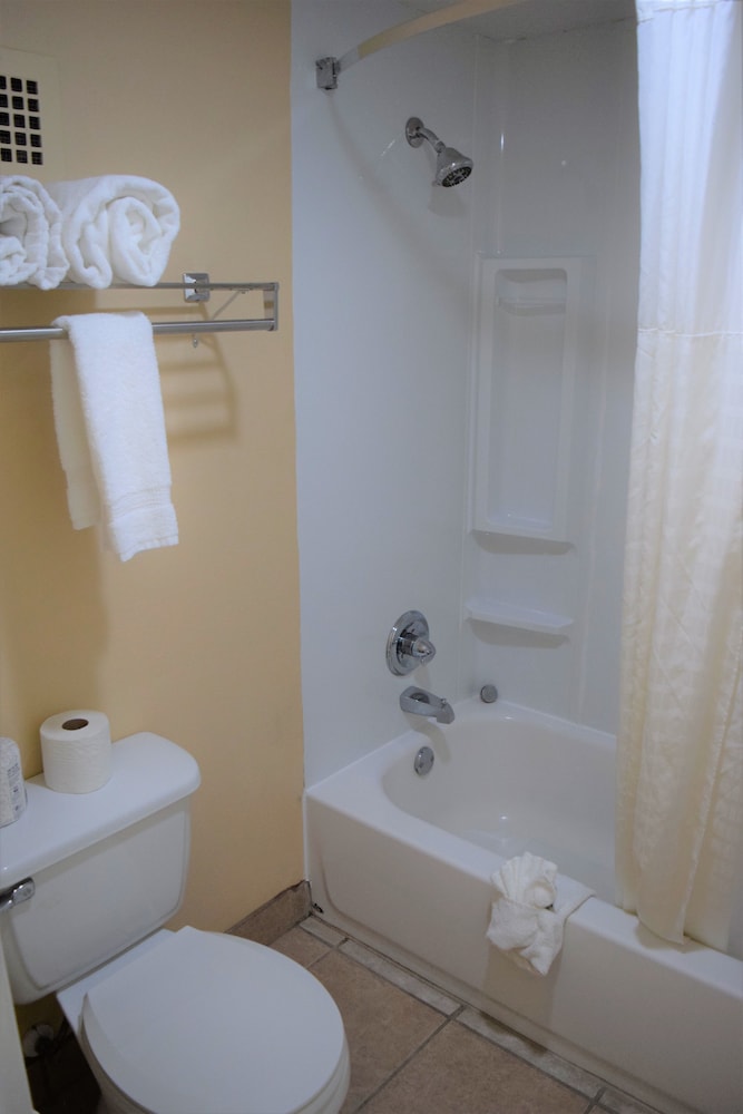 Quality Inn Kennedy Space Center - photo 49