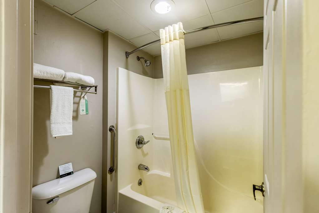 Quality Inn Rolla MO - photo 11