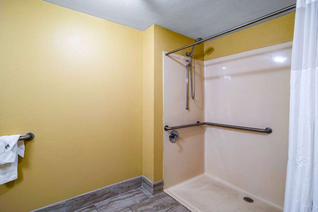 Quality Inn West Columbia Cayce - photo 10