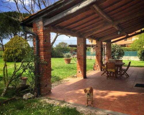 Casa Con Giardino Minimo 3 Notti — 4-Star Luxury Hotel in Castiglione Del Lago, Italy