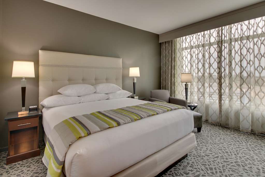Drury Plaza Hotel Dallas Richardson - photo 24