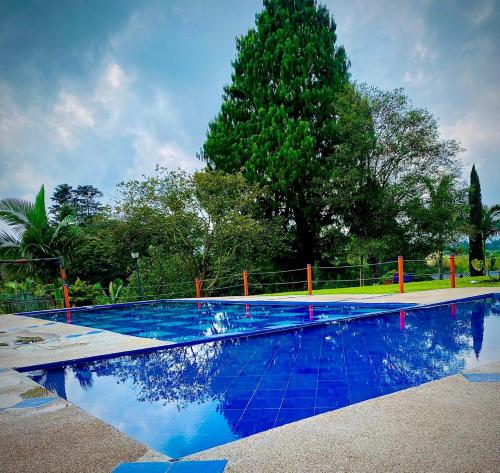 Paisaje Cafetero Hotel Con Piscina Y Desayuno Filandia — Filandia