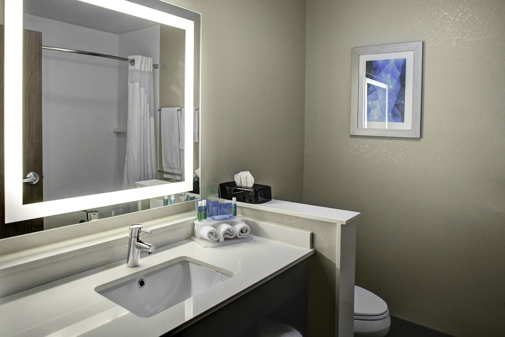 Holiday Inn Express & Suites Coldwater by IHG - photo 8