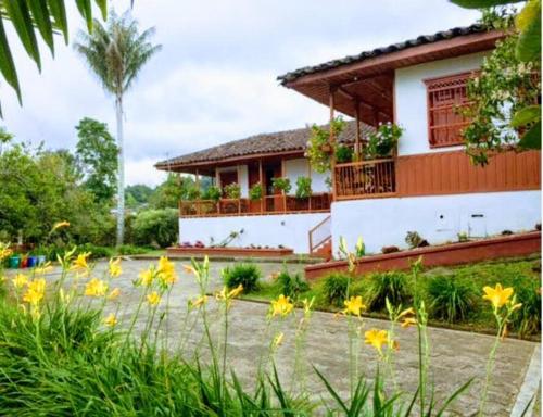 Coronel's Peak Coffee House — 4-Star Luxury Hotel in Salento, Colombia