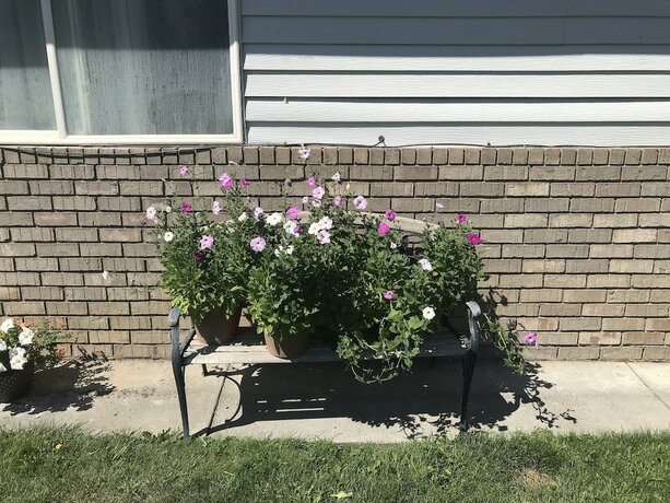Arco Inn — Arco — photo 3