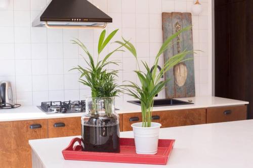 3 Person Apartment By Wehost