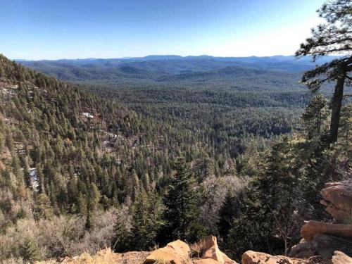 Forest Cabin 1 Hunters Blind — Payson — photo 4